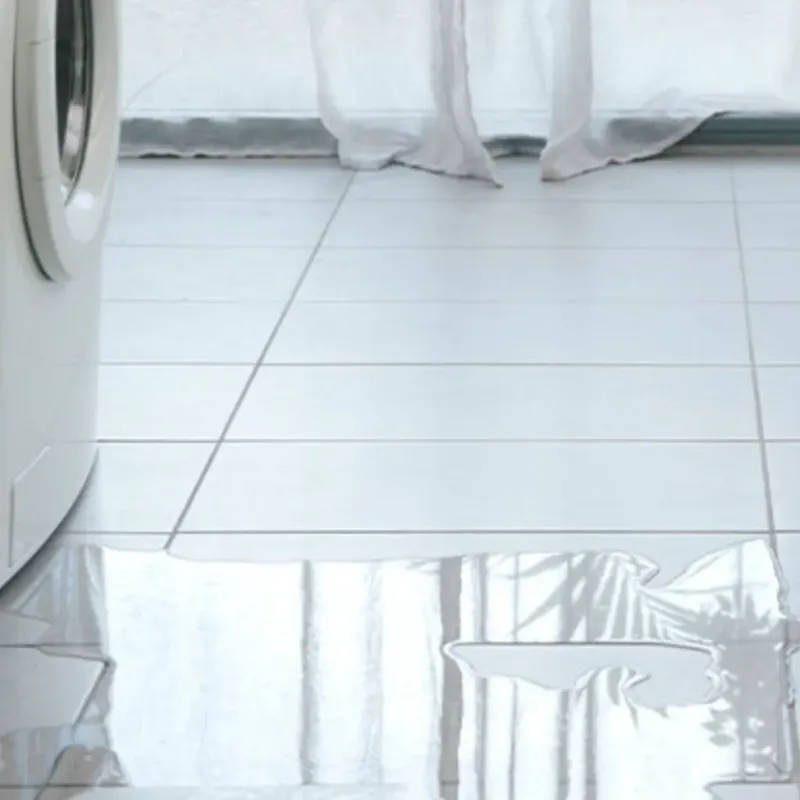 Appliance Leak Cleanup in Hooker, OK